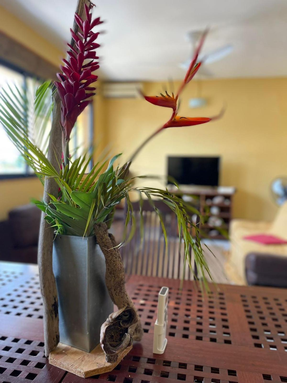 Appartement Tout Confort Sainte-Anne  Bagian luar foto